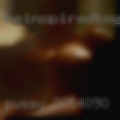 Pussy 30540