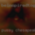Pussy Chesapeake, 23320